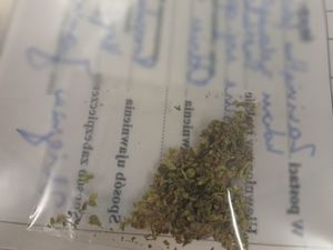 Zdjęcie w kolorze przedstawia susz roślinny koloru zielono-brunatnego w folii.