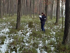 Zdjęcie w kolorze przedstawia policjantkę z kartką w dłoni w obszarze leśnym, miejscami na ściółce widoczny śnieg.