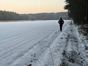 Zdjęcie w kolorze przedstawia policjanta idącego skrajem lasu , po lewej stronie zaśnieżone pole .