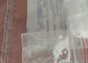 Zdjecie w kolorze przedstawia woreczek strunowy z  niewielka ilością białego  proszku.