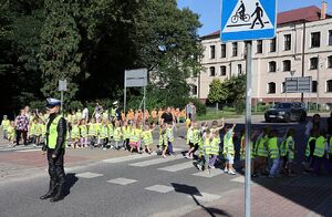 zdjęcie przedstawia grupę kilkudziesięciu przedszkolaków idących chodnikiem i idących przez przejście dla pieszych w asyście opiekunek i policjantów.