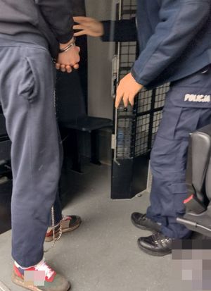 Policjant w mundurze wprowadza do auta typu bus mężczyznę w dresie z kajdankami na rękach.