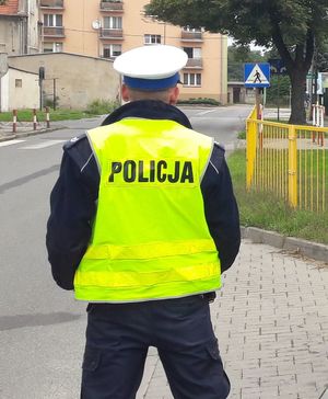 Policjant w mundurze i kamizelce odblaskowej patrzy na przejście dla pieszych.