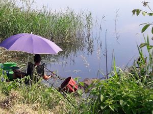 Mężczyzna siedzi na krześle nad brzegiem jeziora a nad nim słoneczny parasol.