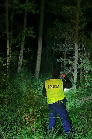 Policjant w mundurze świeci latarką w lesie, w nocy.