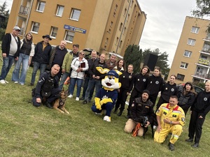 ludzie będący na pikniku