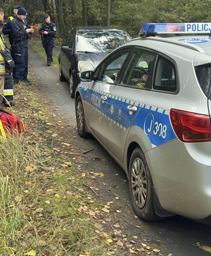 zdjęcie: policjanci podczas akcji poszukiwawczej
