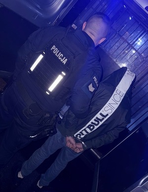 zatrzymany mężczyzna wsiadający do radiowozu