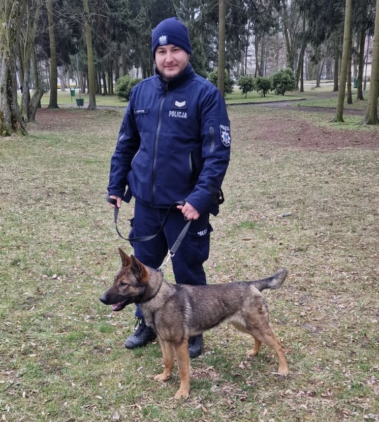 zdjęcie kolorowe: owczarek belgijski o imieniu Matylda i przewodnik psa służbowego