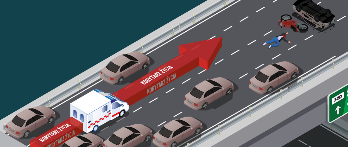 zdjęcie: grafika przedstawiająca korytarz życia