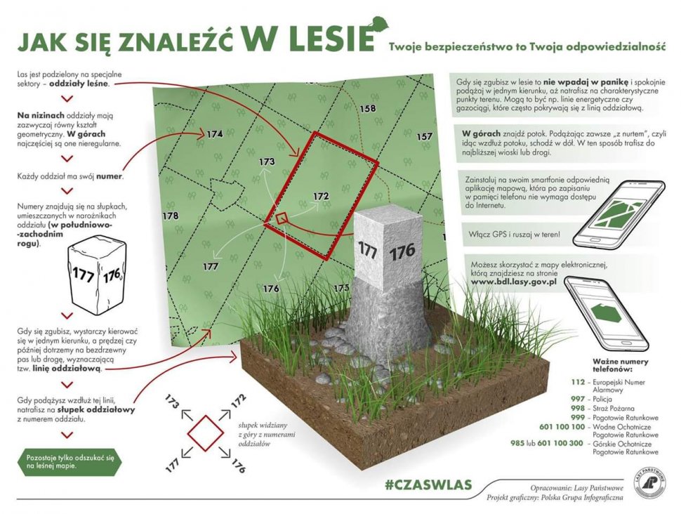 grafika stworzona przez Lasy Państwowe ukazuje jak znaleźć się w lesie