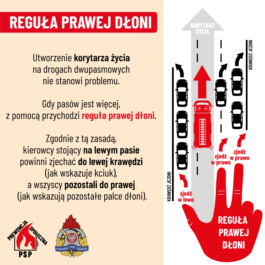 zdjęcie: grafika przedstawiająca korytarz życia