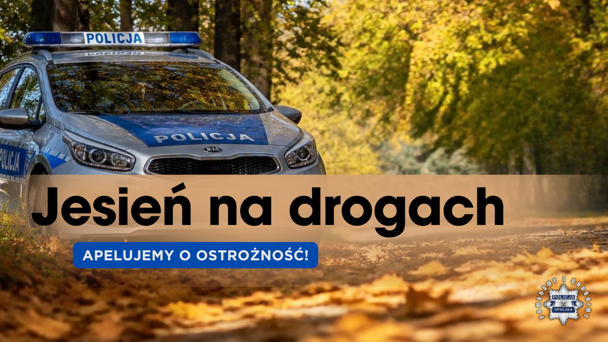 zdjęcie: policyjny radiowóz