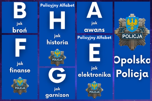 kolaż tablic z literami alfabetu