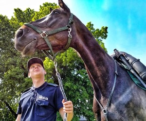 Zdjęcie przedstawia policjanta oraz konia służbowego.