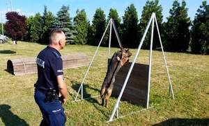 Policjanci z psami w trakcie konkursowych zmagań