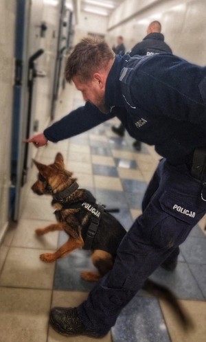 pies i policjant podczas szkolenia