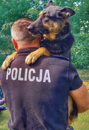 pies na rękach policjanta