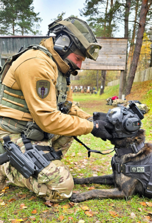 Zdjęcie przedstawia psa z policjantem.