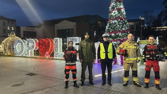 przedstawiciele służb na tle choinki: ratownik medyczny, strażnik graniczny, policjant, strażak, pilot