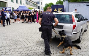 Pies z funkcjonariuszem chodzą dookoła samochodu.