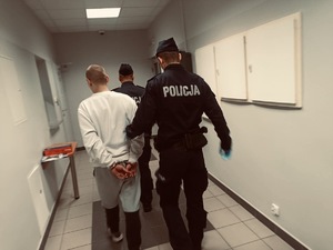 zdjęcie : osoba zatrzymana przez opolskich policjantów