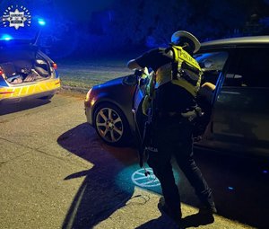 zdjęcie kolorowe: opolscy policjanci podczas działań