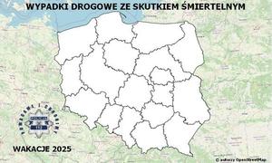 zdjęcie kolorowe: mapa Polski