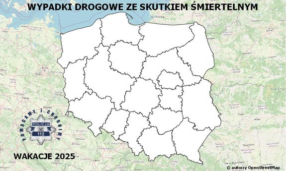 zdjęcie kolorowe: mapa Polski