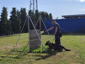 przewodnik z psem podczas konkurencji