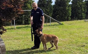 policjant z psem służbowym