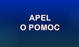 zdjęcie: plakat z napisem apel o pomoc
