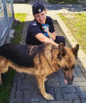 policjantka z psem