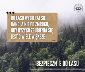 Zdjęcie: grafika informacyjna.