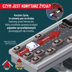 zdjęcie: grafika przedstawiająca korytarz życia