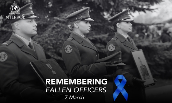 zdjęcie informujące o akcji