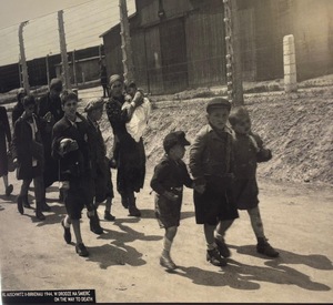 zdjęcie kolorowe: opolscy policjanci podczas seminarium Auschwitz-Birkenau