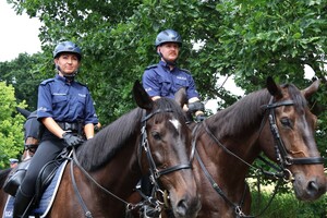 zdjęcie: Wojewódzkie Obchody Święta Policji