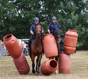 zdjęcie: Wojewódzkie Obchody Święta Policji