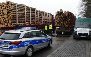 policjanci podczas kontroli przewozu drewna
