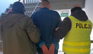 zatrzymani za kradzieze i włamania