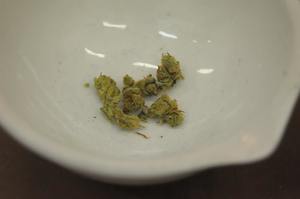 zdjęcie poglądowe - susz marihuany na białej misce