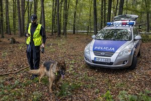 w lesie zaparkowany radiowóz obok policjant [prowadzi na smyczy psa